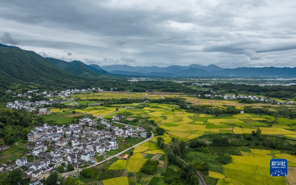 澳门新葡亰在线av